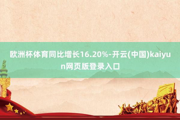 欧洲杯体育同比增长16.20%-开云(中国)kaiyun网页版登录入口