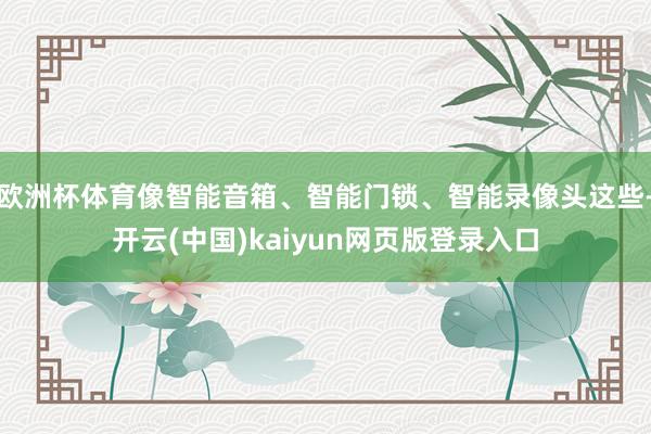 欧洲杯体育像智能音箱、智能门锁、智能录像头这些-开云(中国)kaiyun网页版登录入口