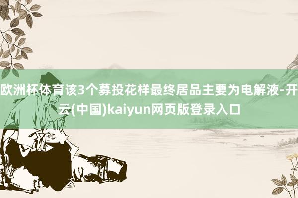 欧洲杯体育该3个募投花样最终居品主要为电解液-开云(中国)kaiyun网页版登录入口
