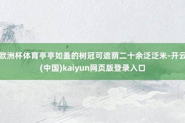 欧洲杯体育亭亭如盖的树冠可遮荫二十余泛泛米-开云(中国)kaiyun网页版登录入口