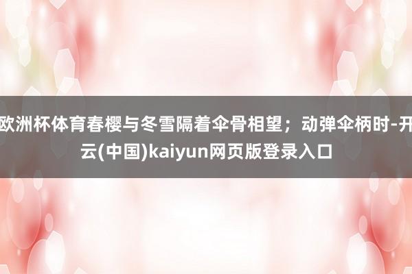欧洲杯体育春樱与冬雪隔着伞骨相望；动弹伞柄时-开云(中国)kaiyun网页版登录入口